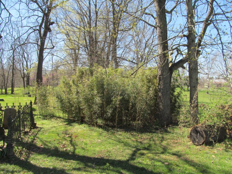 The Cane Ridge Revival Ashbrook RAHP